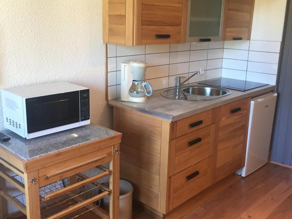 2 Pièces Sud-Est Chamonix, Parking & Animaux admis - FR-1-517-54 - 2