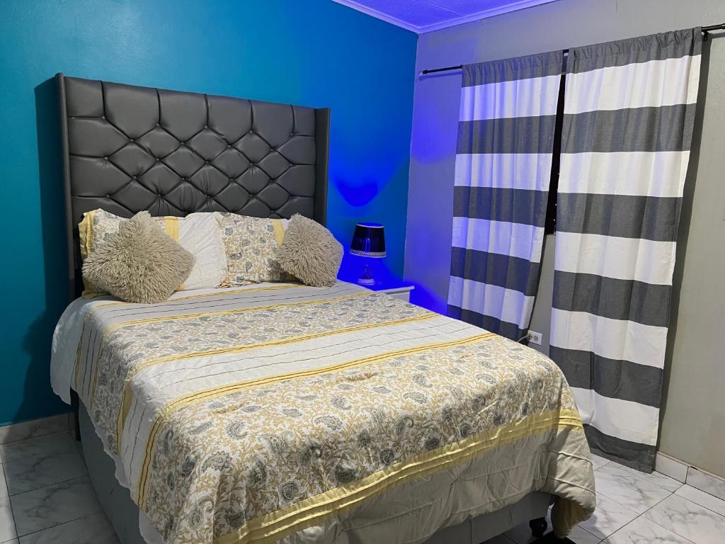 Netfa's Hidden Gem, Kingston