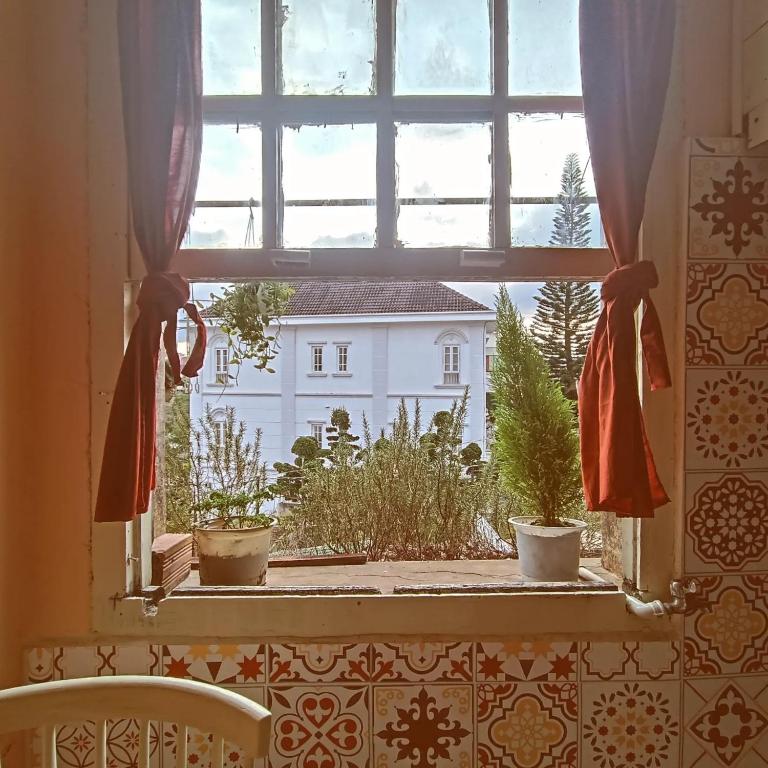 The Burrow by the lake