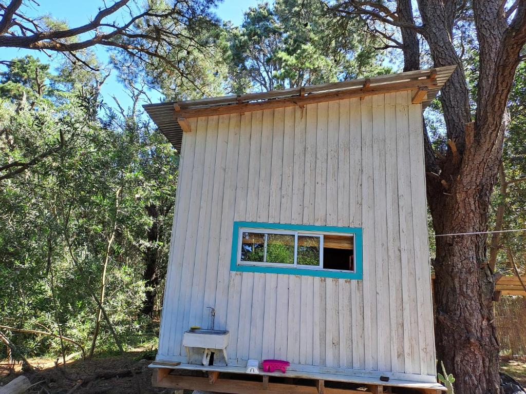 Mi pequeño Santuario - 4