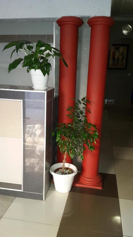 Monarchy Guest House photo