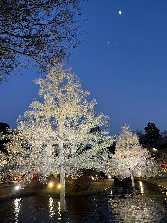 ที่เที่ยวใกล้ที่พัก