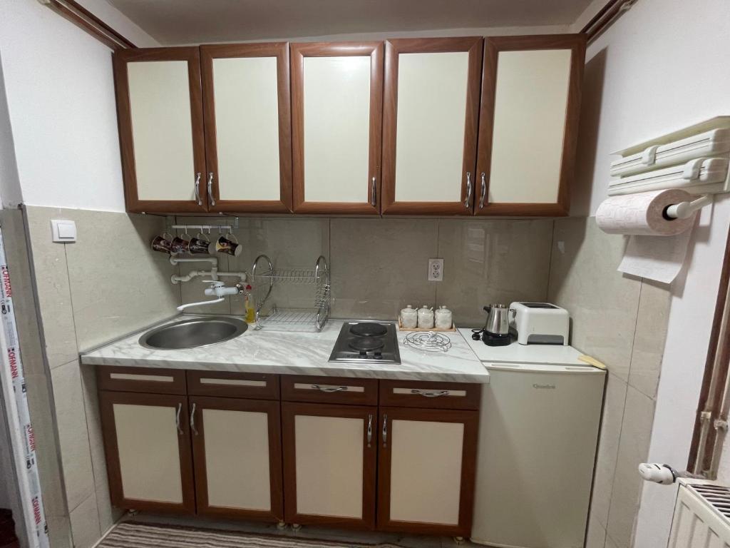 Lazin Apartman - 3