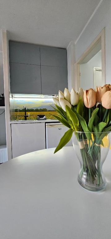 Attrezzature e servizi