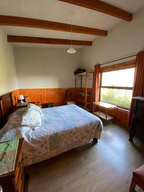 Cabaña Malalcahuello con playa de Rio - 3