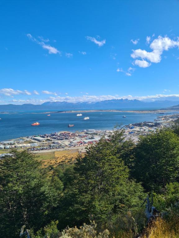 Surrounding environment