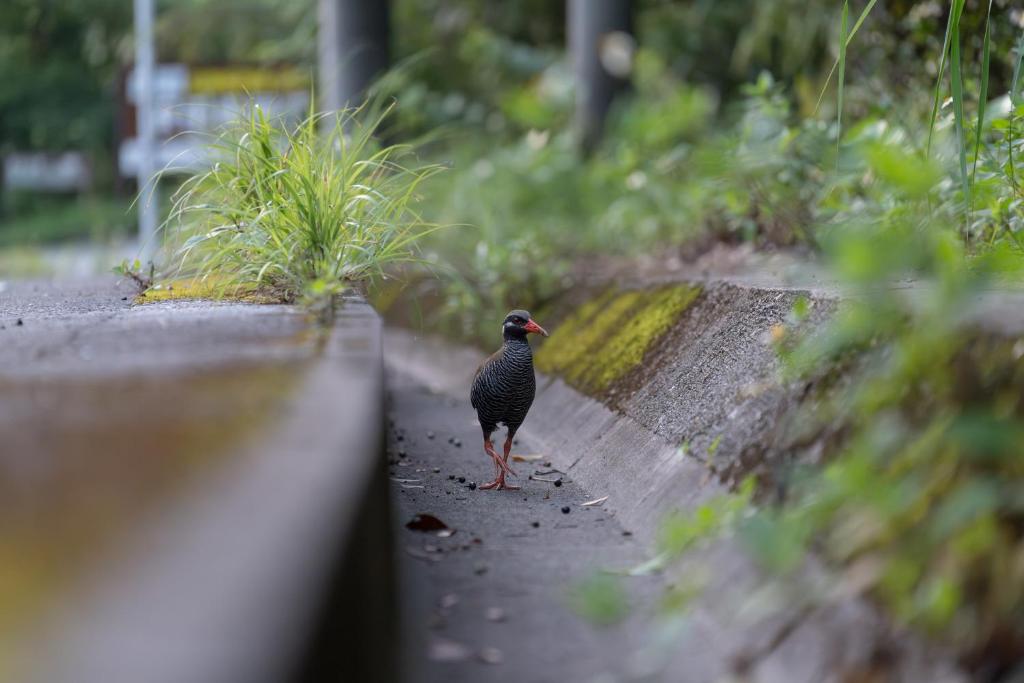 Surrounding environment