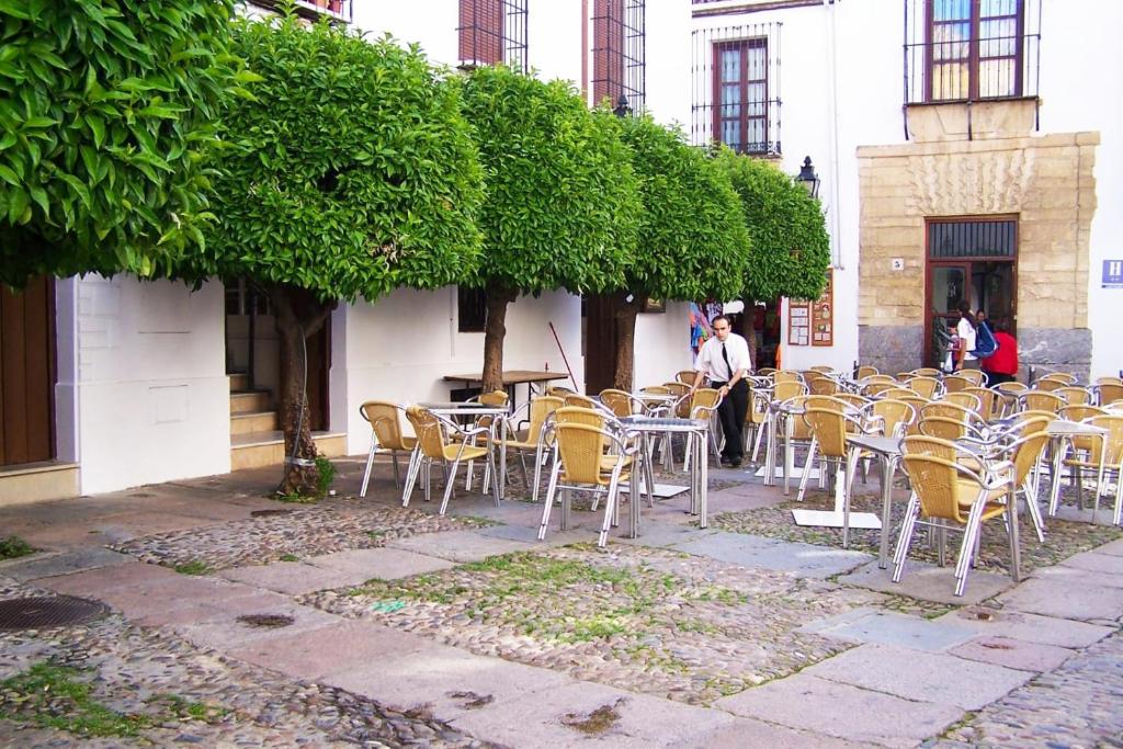 Casa Leví - 4
