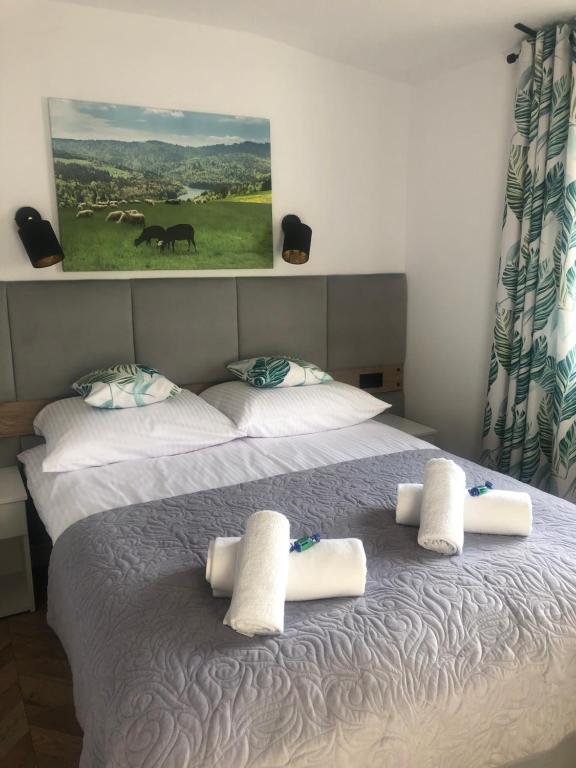 Wiślańskie Doliny, Visla