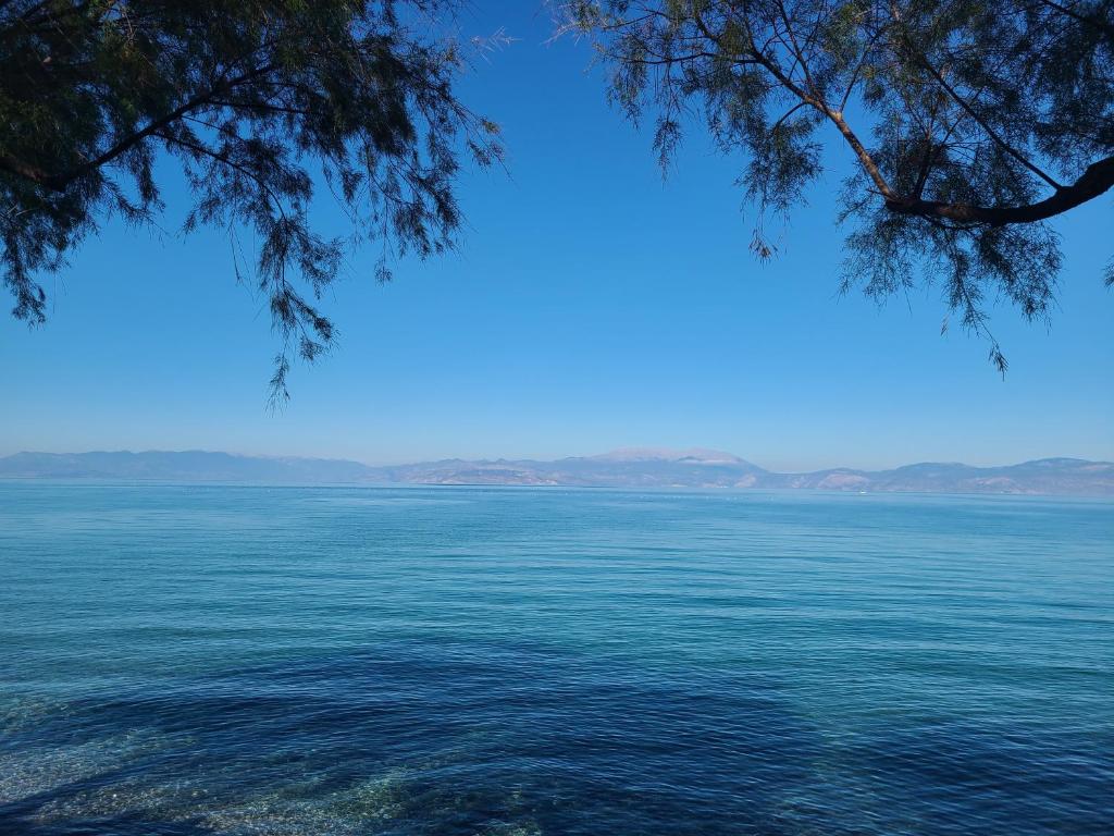 An Oasis By The Beach, Kiáton