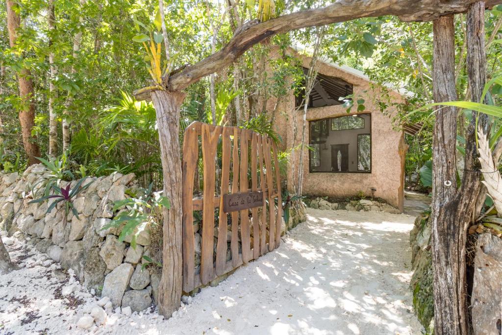 Casa & Palapa de la Selva - 2
