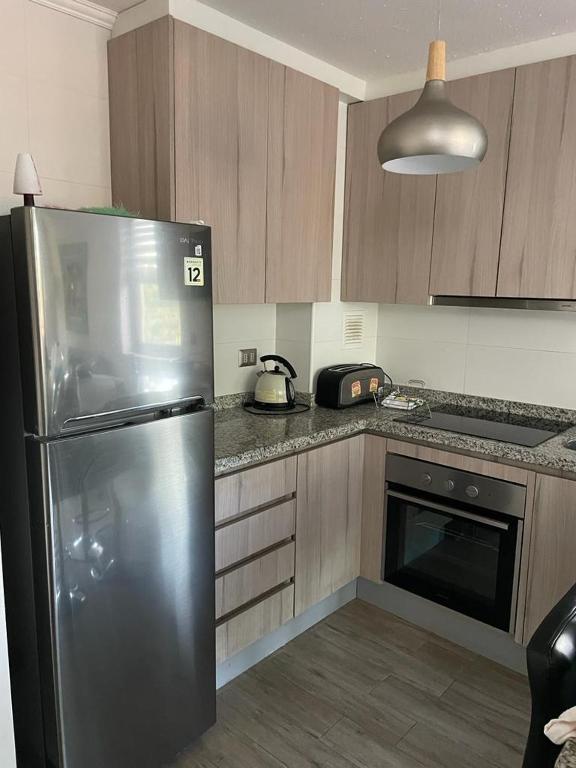 Departamento Pucón - Parque Condominio Castaños de Alicura - 5