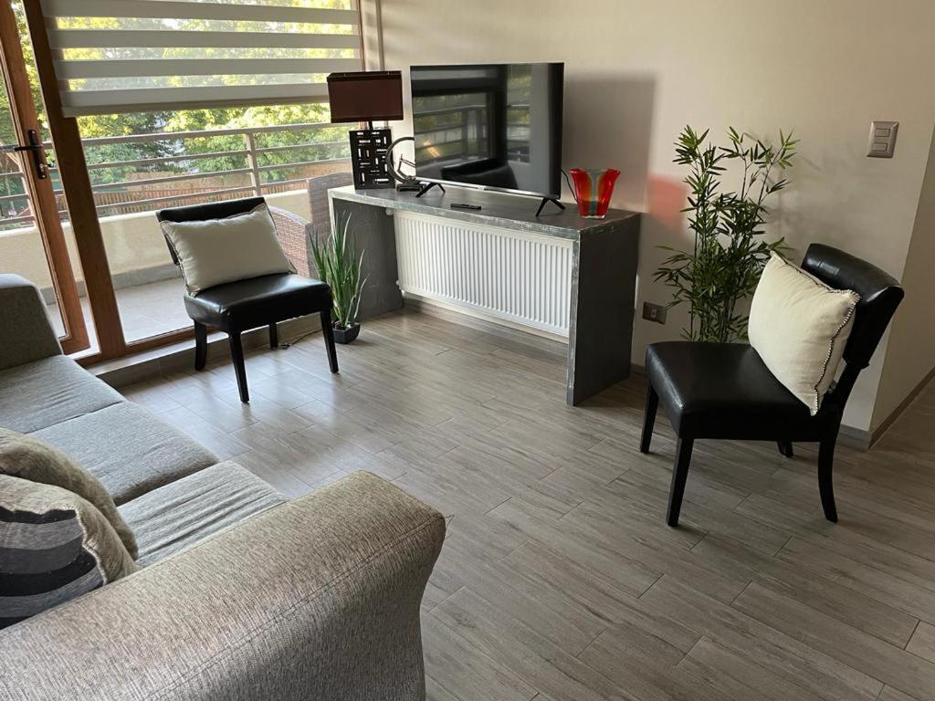 Departamento Pucón - Parque Condominio Castaños de Alicura - 4