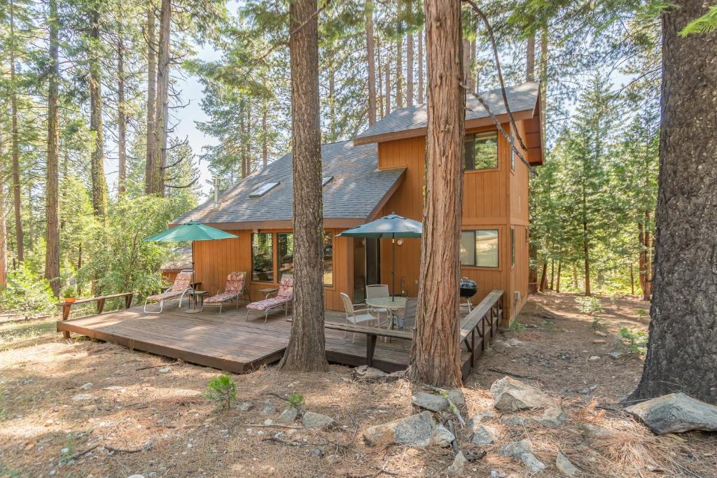 Pinetree Paradise, Dorrington