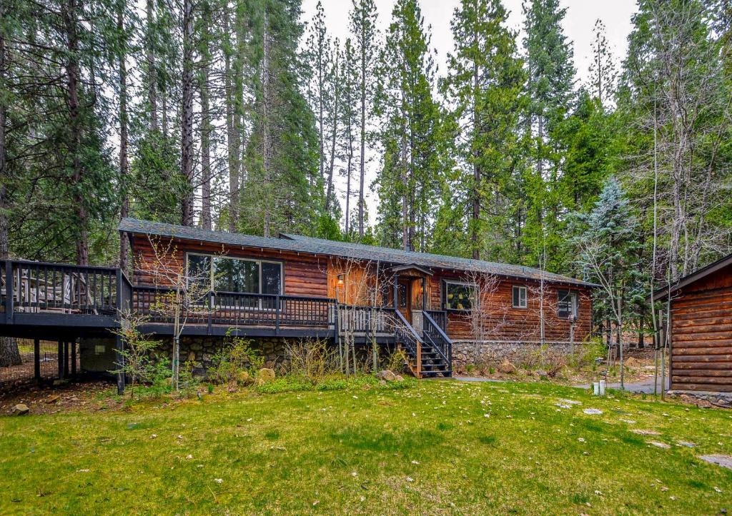 Oso Borracho, Arnold