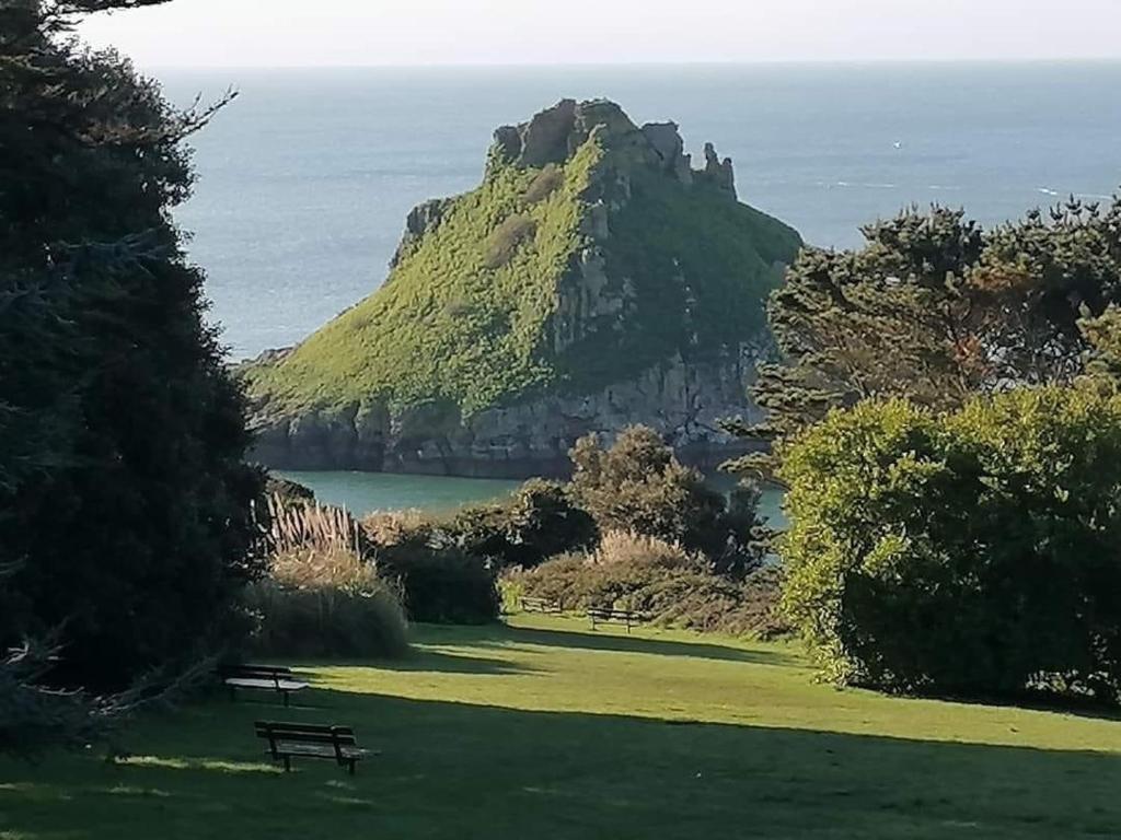 アクティビティ