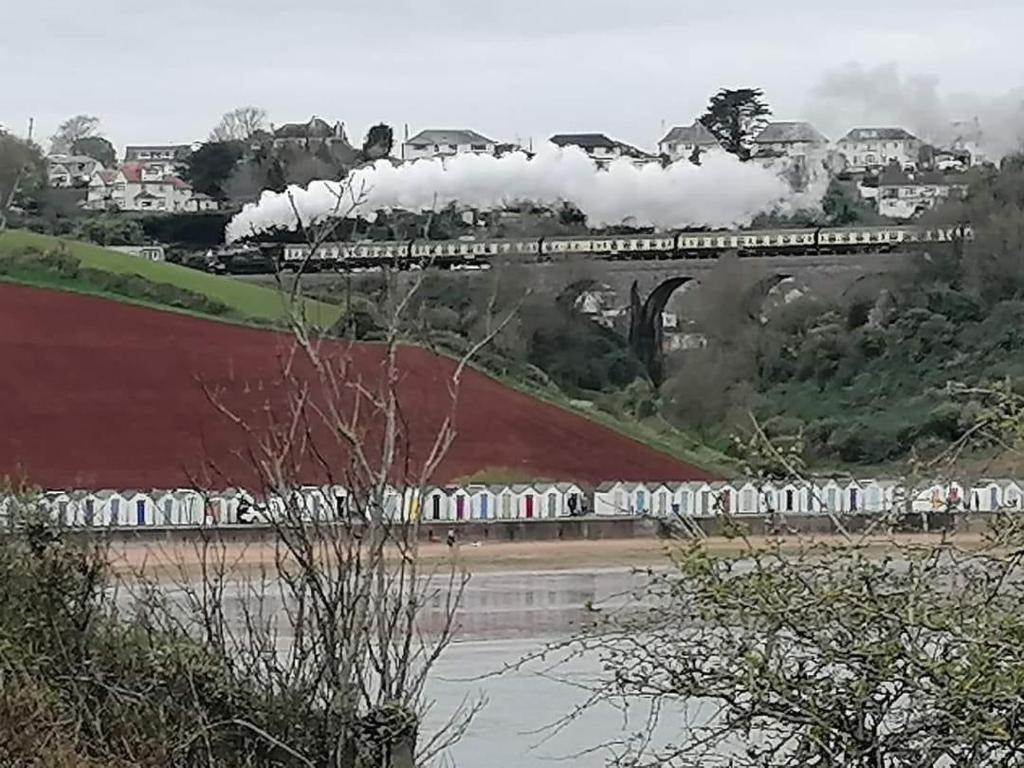 アクティビティ