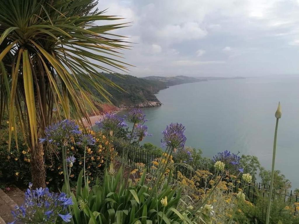 アクティビティ