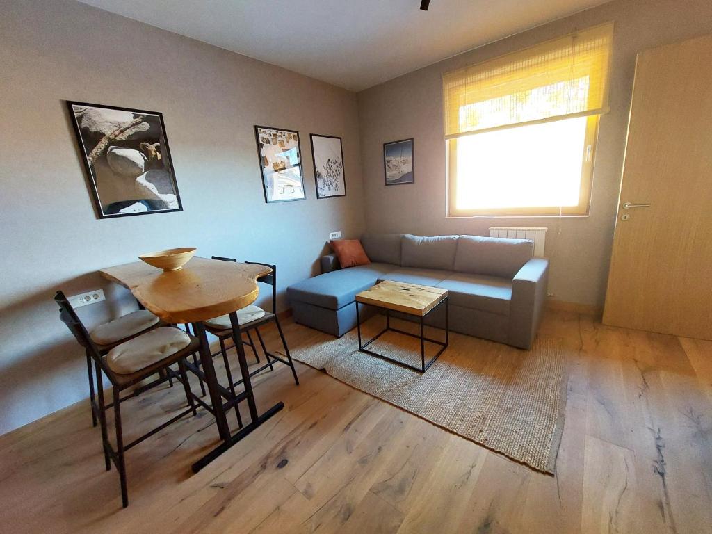 Apartment C519 - Aparthotel Vučko Jahorina - Private Host - 3