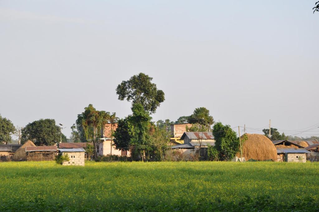 Surrounding environment
