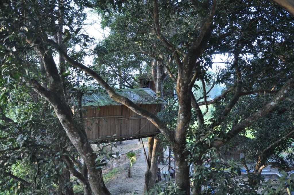 Surrounding environment