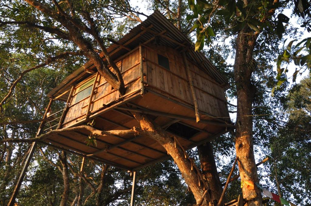 Pemsee's Tree Town - Eco Treehouse Hostel, Sauraha