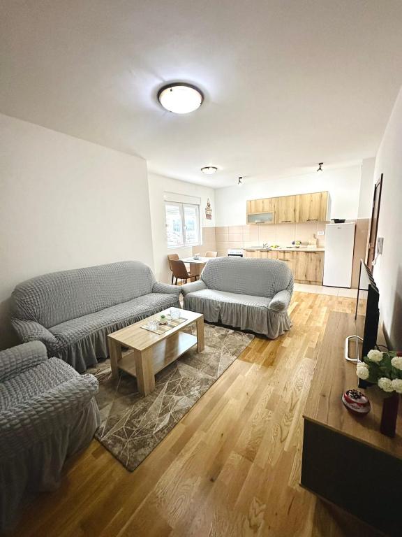 Roomy Lux Apartmant - 1