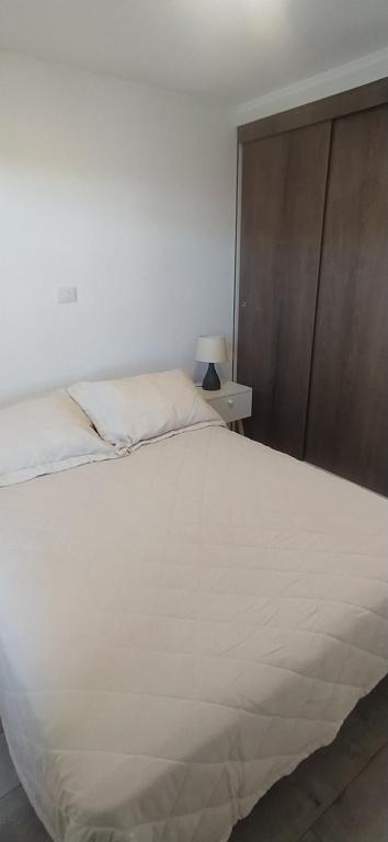 Moderno departamento con balcón en IslaTeja, Valdivia - 2