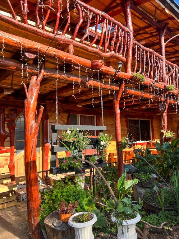 Hostal Central Panguipulli - 3