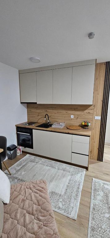 Vrucinic Jahorina apartman - 4