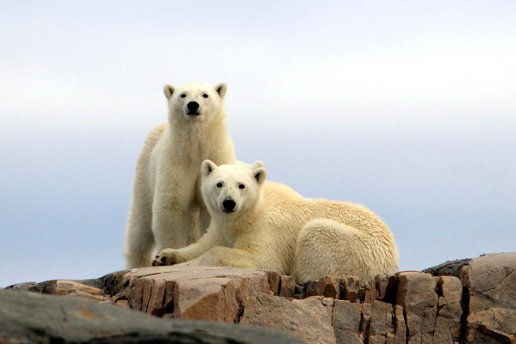 Radisson Blu Polar Hotel, Spitsbergen photo