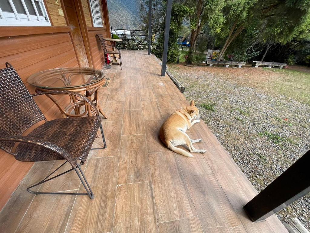 GO Bill B&B