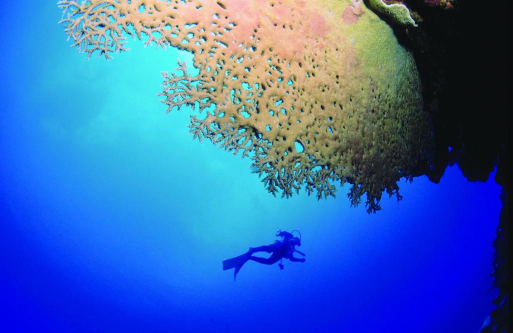 Sport og aktiviteter