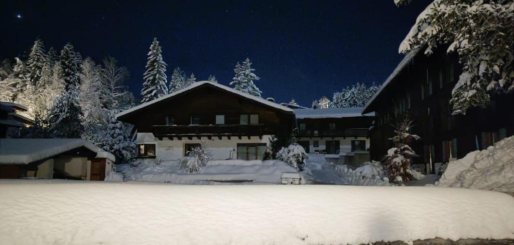 Haus Alice - 5