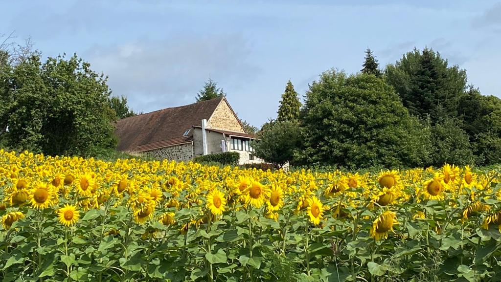 Bonnes Routes - 4 star gite in the Perigord Vert