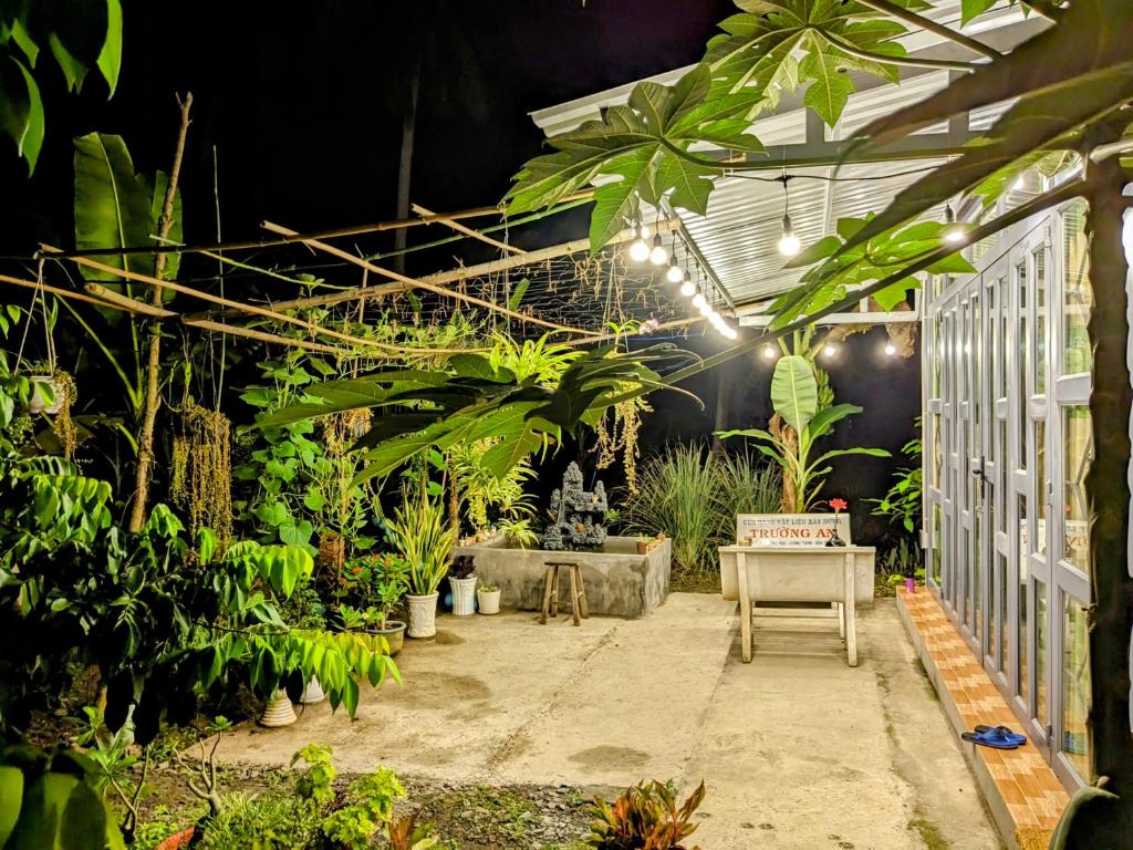 Coco Happy Farm