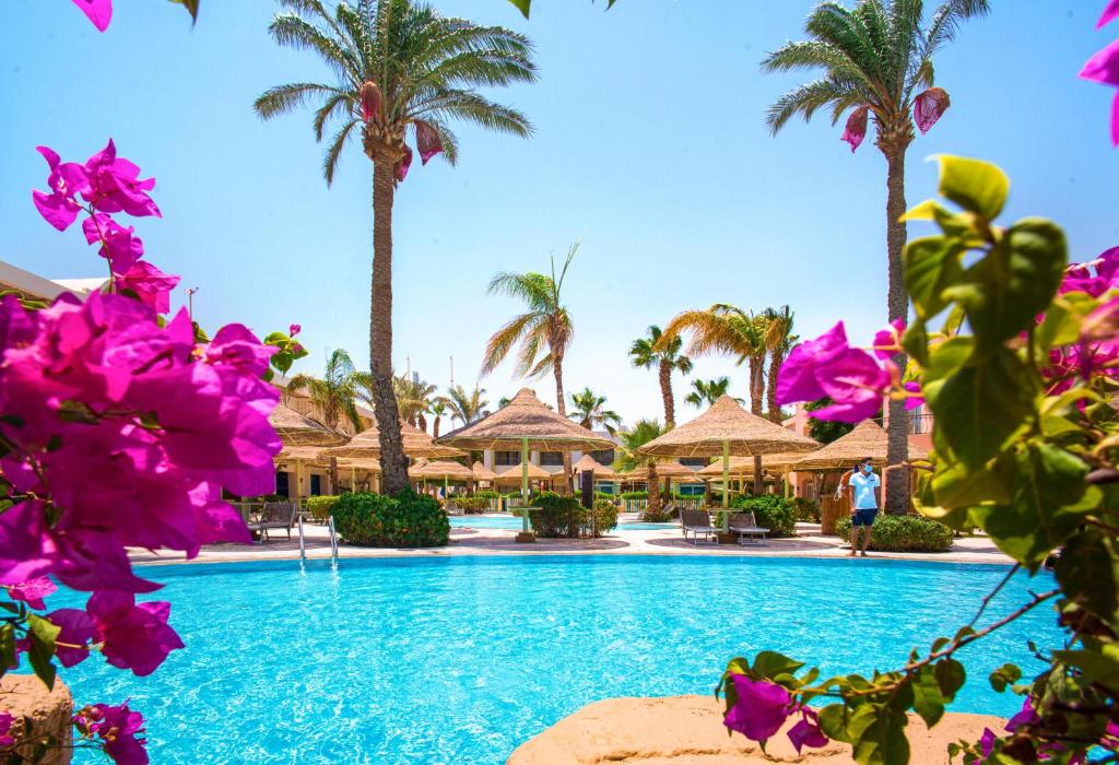 Sierra Sharm El Sheikh - All-inclusive — Sharm El Sheikh, South Sinai