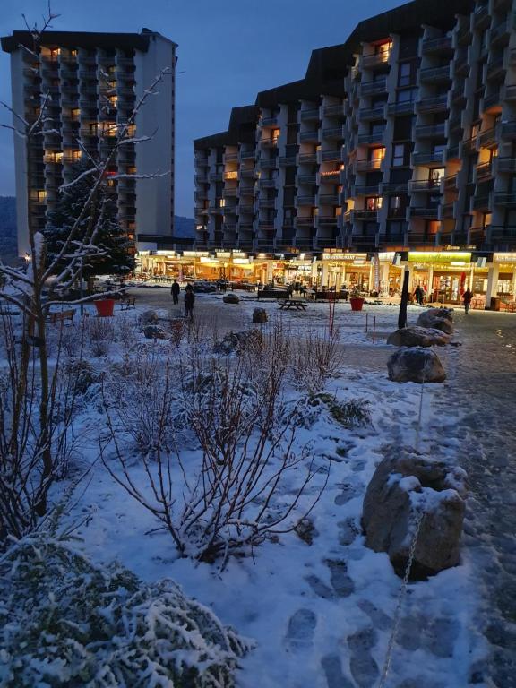 2 pièces 43m2 au Balcon de Villard Les Arolles - 5