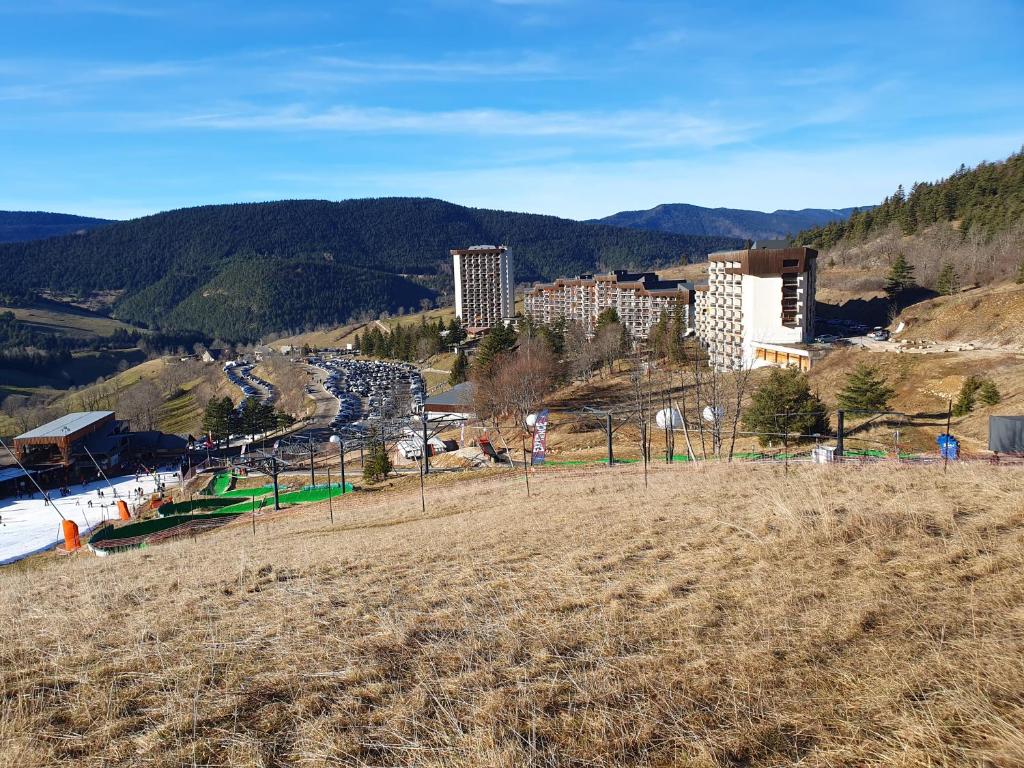 2 pièces 43m2 au Balcon de Villard Les Arolles - 3