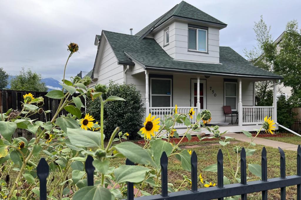 Sunflower Way, Colorado Springs