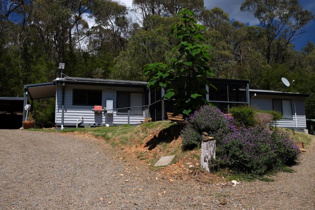 Mirra Minga, Kevington