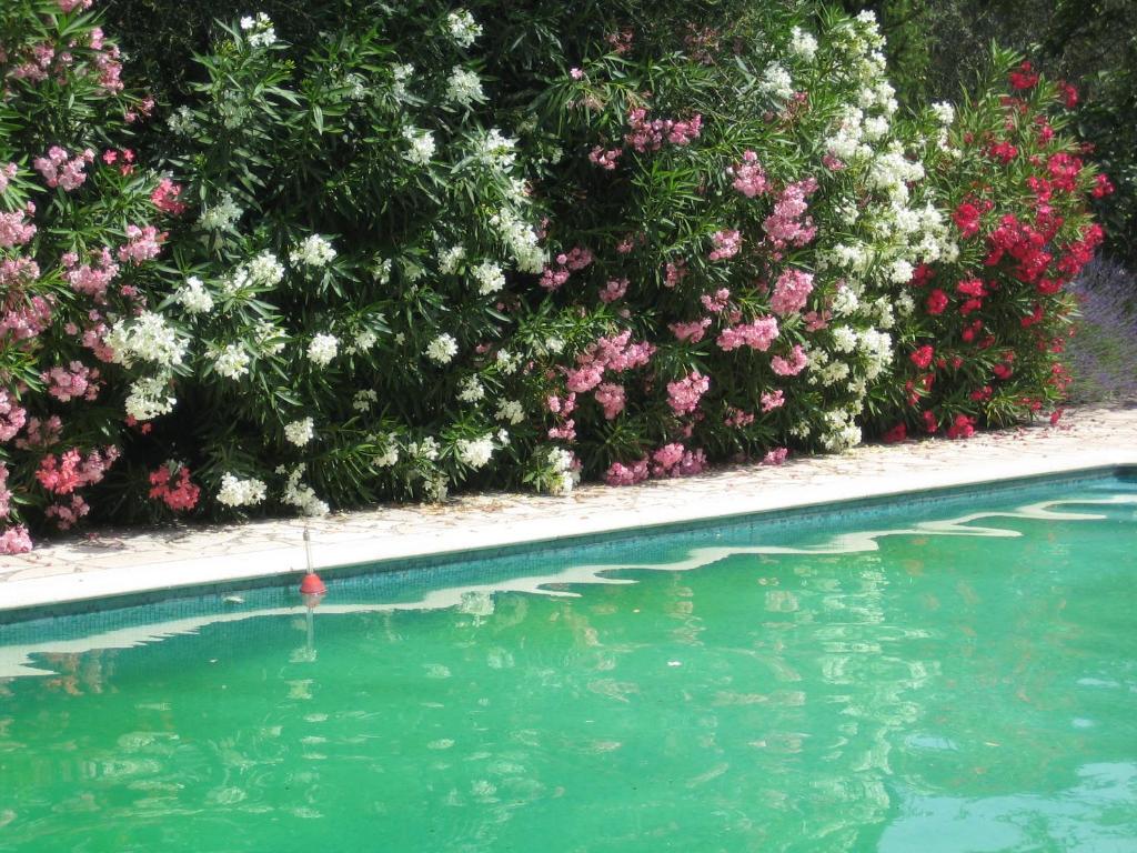 17th Century Stone House, Pool, Air-Conditioned - 3