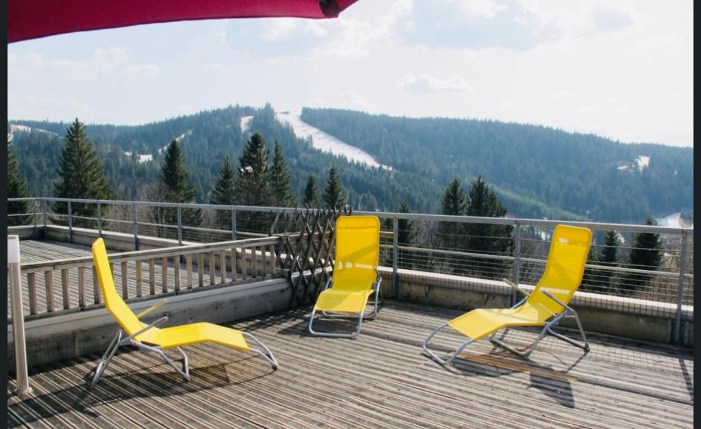 Appartement sur les hauteurs de Gérardmer - 1