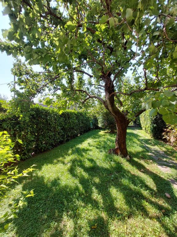 Casa Malina Ferienhaus im Grünen am Gardasee - 4