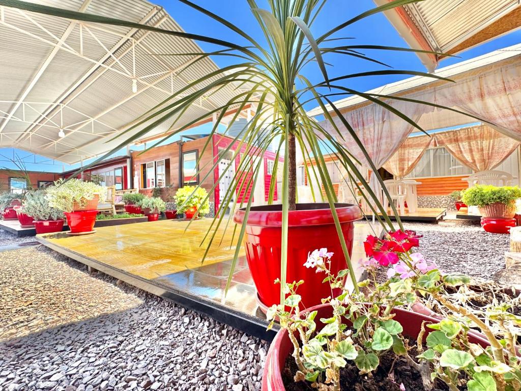 Casa TINY - 5