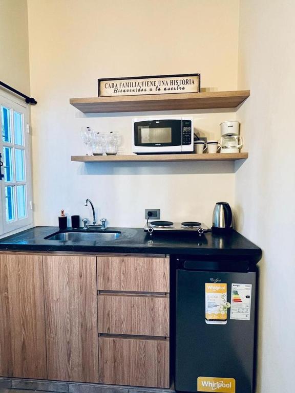 Monoambiente Luminoso con Pileta y asador - 3