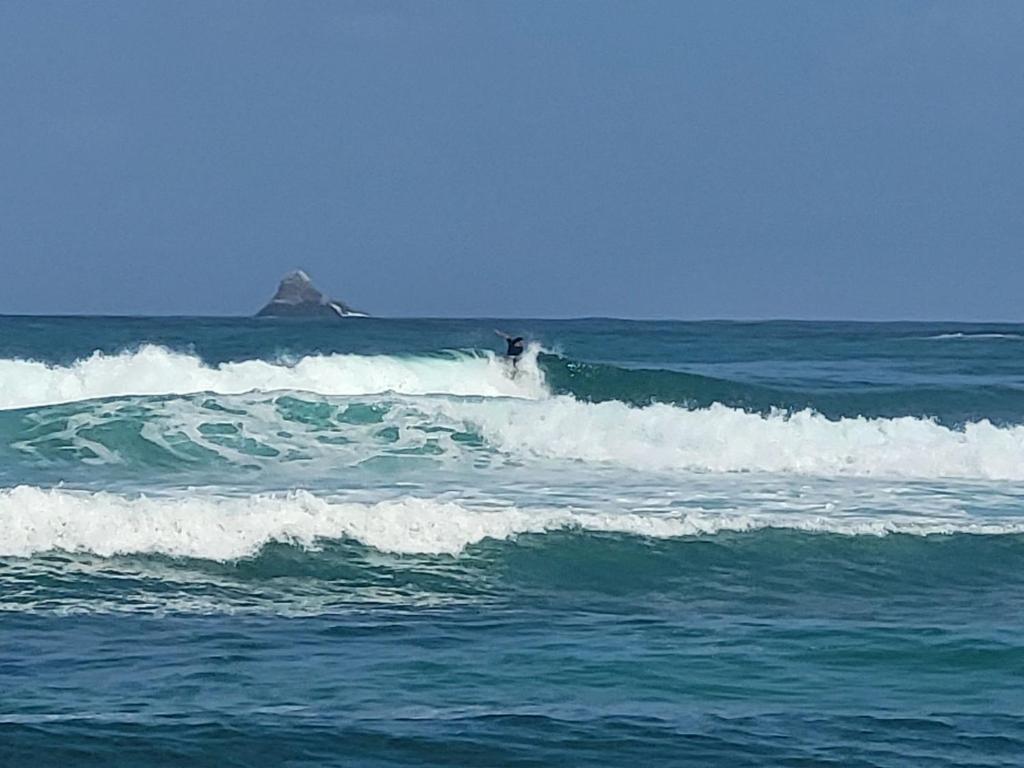 le TI-ANOLIS tartane martinique, La Trinité