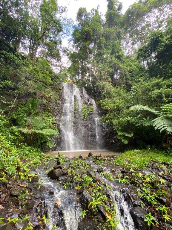 Nimbin waterfall retreat, Nimbin