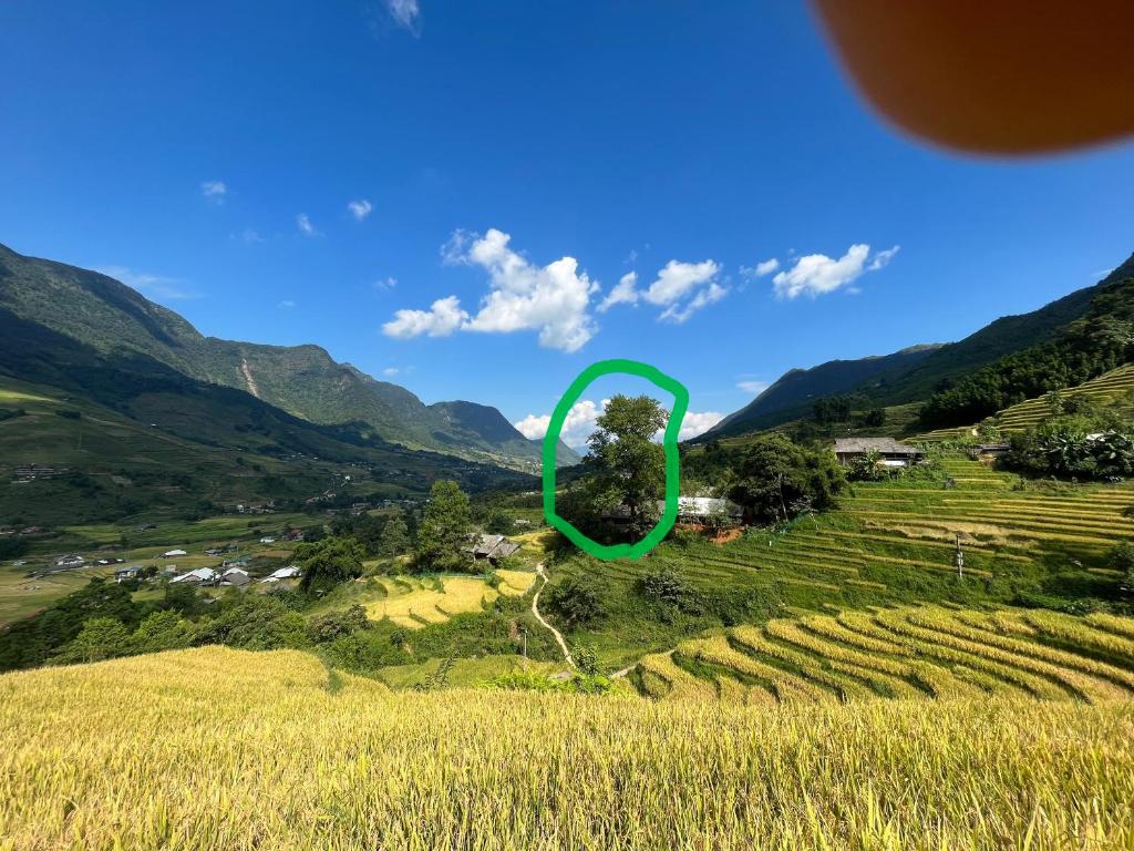 SaPa Big Tree Hmong Homestay