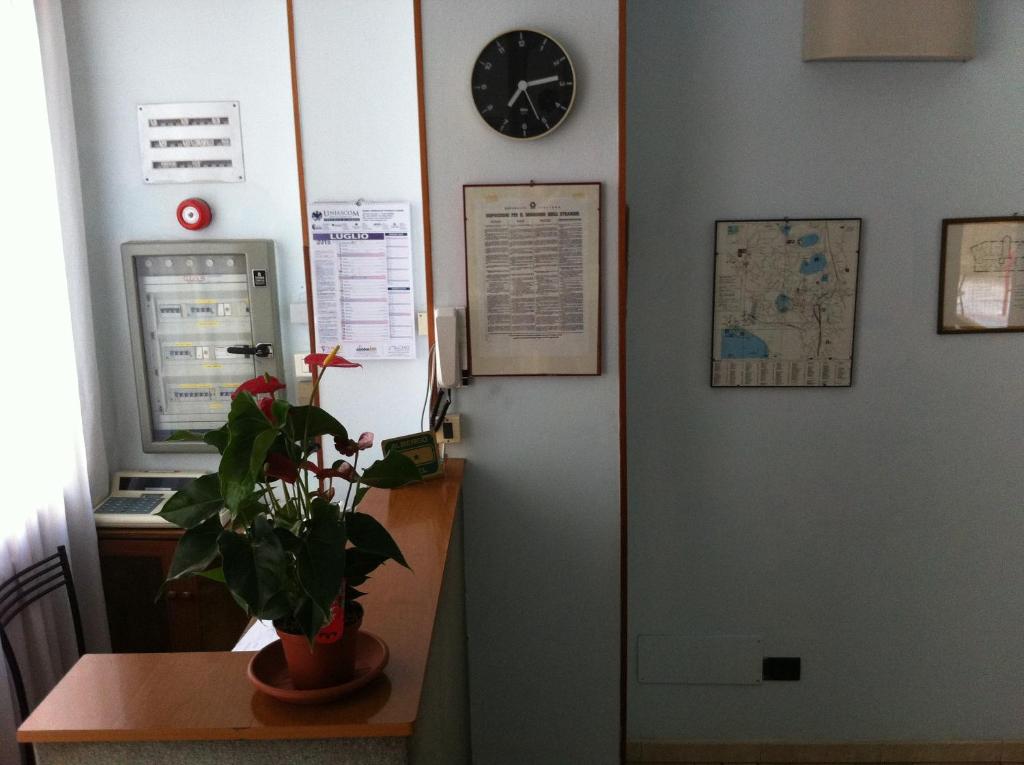 Hotel Mira photo